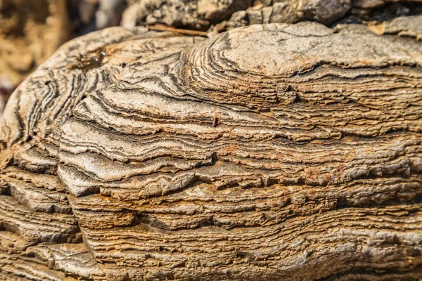 Fondo de textura caliza — Foto de Stock