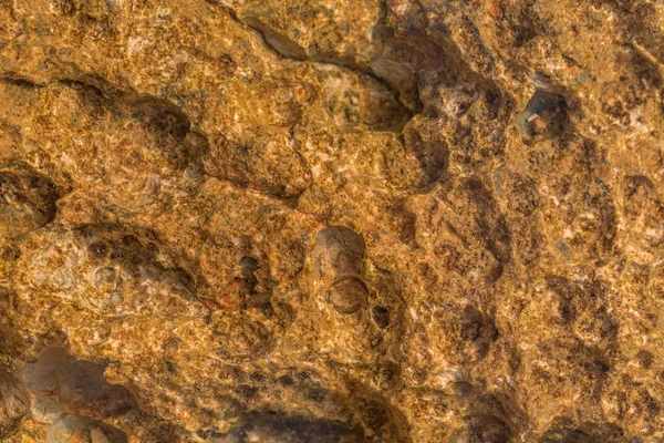 Fondo de textura caliza — Foto de Stock