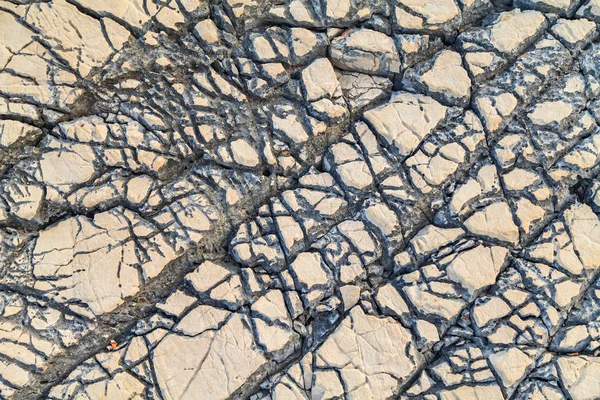 石灰岩のテクスチャ背景 — ストック写真