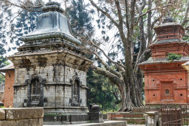 Pashupatinath Hindular kutsal yer