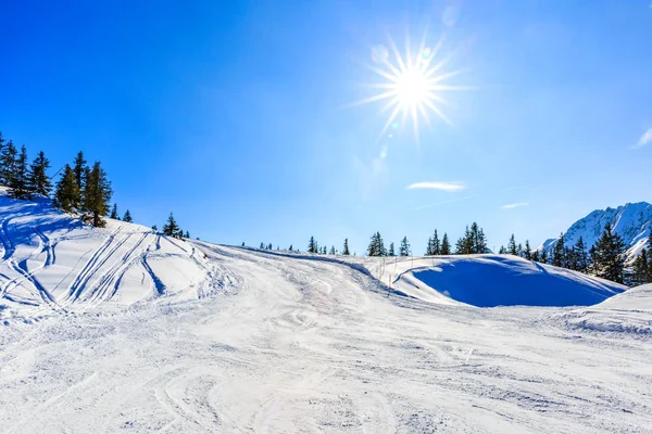Alpleri'nde kış manzarası