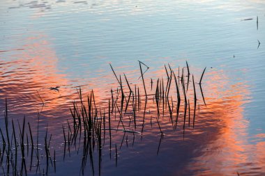 Su yansıyan günbatımı