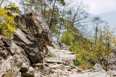 Dağları Rocky patika