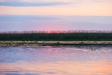 Tuna Deltası'nda güzel gündoğumu