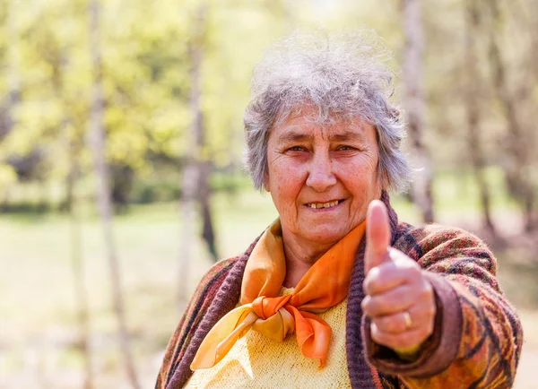 Porträtt av leende äldre kvinna — Stockfoto