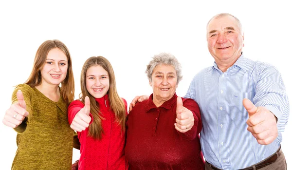 Happy grandparents and granddaughters — Stock Photo, Image