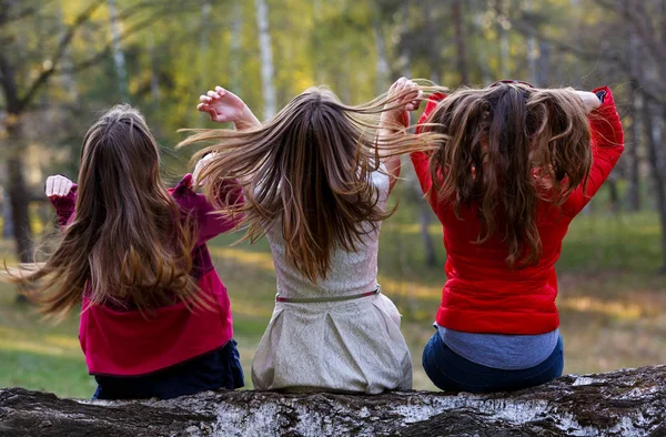 Junge Damen sitzen auf Baumstämmen im Wald — Stockfoto