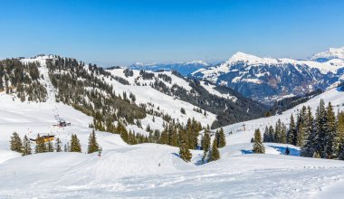Alpleri'nde kış manzarası