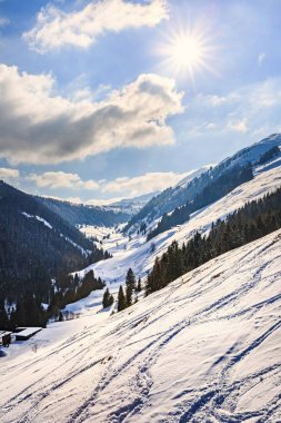 Alpleri'nde kış manzarası