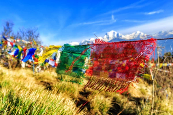 Bön flagga på Poon hill i Nepal — Stockfoto