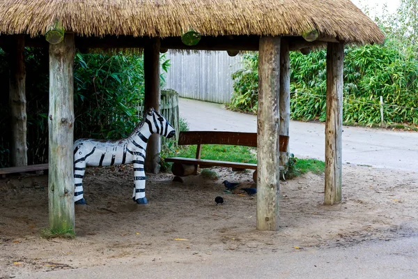 Statuetta zebra scolpita — Foto Stock