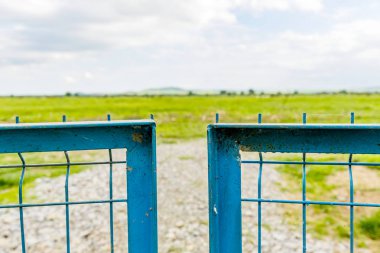 Yeşil çayır ve mavi çit