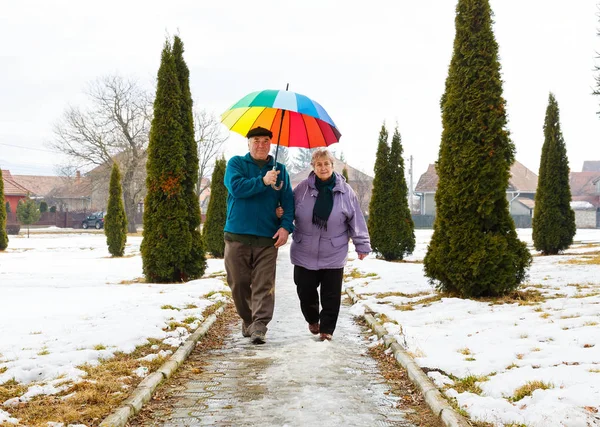 Feliz pareja de ancianos — Foto de Stock