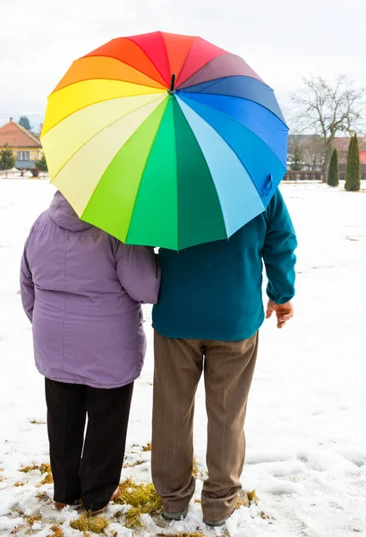 Pareja mayor con paraguas colorido — Foto de Stock