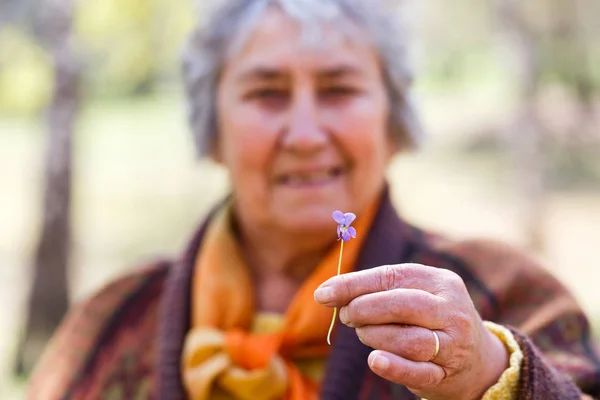 Portrait of smiling elderly woman — Stock Photo, Image