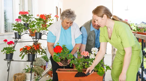 Felice Coppia Anziana Piantare Fiore Aiutato Giovane Dolce Caregiver — Foto Stock