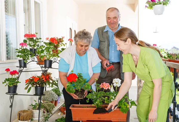 Happy Elderly Couple Planting Flower Helped Young Sweet Caregiver — Stock Photo, Image