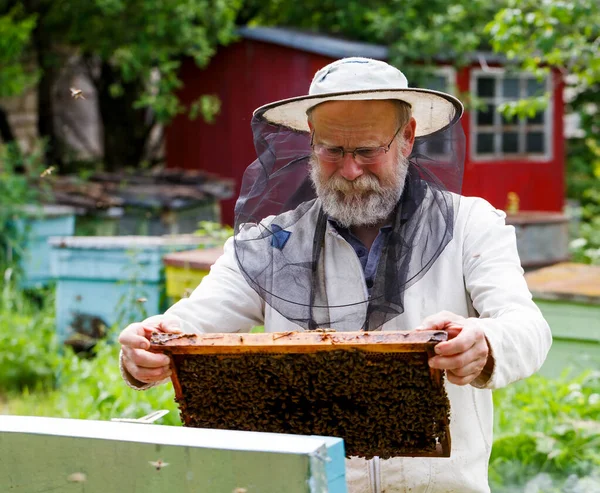 Handsome Beekeeper Protective Uniform Checking Beehive Garden — Stock Photo, Image