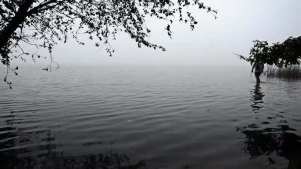 Záhadná mlha nad jezerem. Muž vejde do vody jezera — Stock video