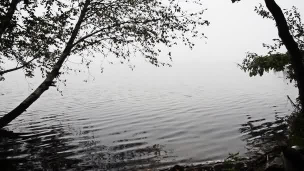 Mysterious mist over the lake. Dusk — Stock Video