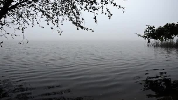 Uma névoa misteriosa sobre o lago. Crepúsculo — Vídeo de Stock