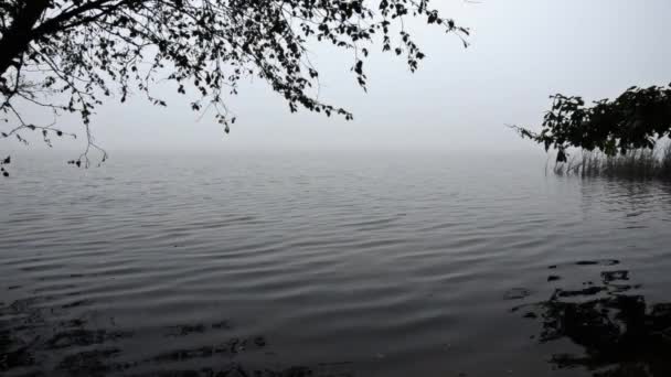 Mysterious mist over the lake. Dusk — Stock Video