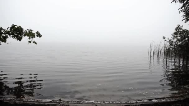Uma névoa misteriosa sobre o lago. Crepúsculo — Vídeo de Stock