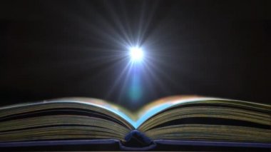 Eğitim kitabı. Bilgi ders kitabı