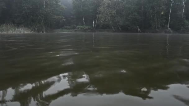 霧の中で森林の悲観的な眺め。湖からの眺め — ストック動画