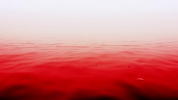 Maldita água. Água pintada de sangue — Vídeo de Stock