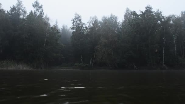La sombría vista del bosque en la niebla. Vista desde el lago — Vídeo de stock