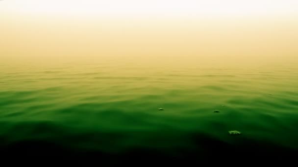 Agua verde, séptica. Líquido tóxico — Vídeos de Stock
