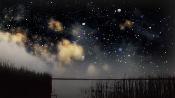 Ночное небо над озером — стоковое видео