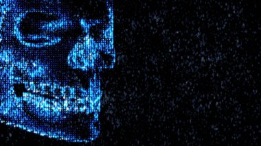 Internet tehlikede. Kötü amaçlı kod hacker. Kafatası