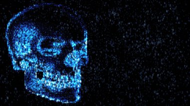 Internet tehlikede. Kötü amaçlı kod hacker. Kafatası