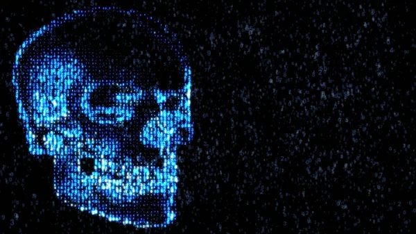 Danger in the Internet. Malicious code hacker. Skull — Stock Photo, Image