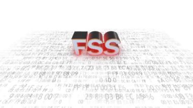 Rusya Federasyonu Federal Güvenlik Servisi. FSS