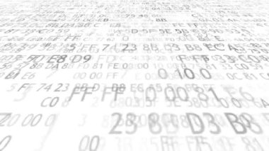 Bilgisayar kodu kavramı