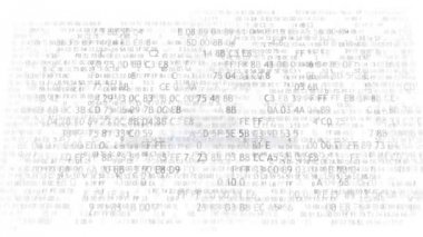 Bilgilerin korunması kavramı kilit