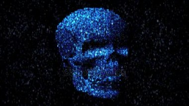 Internet tehlikede. Kötü amaçlı kod hacker. Kafatası