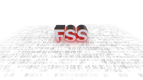 Federální bezpečnostní služby Ruské federace. FSS — Stock fotografie