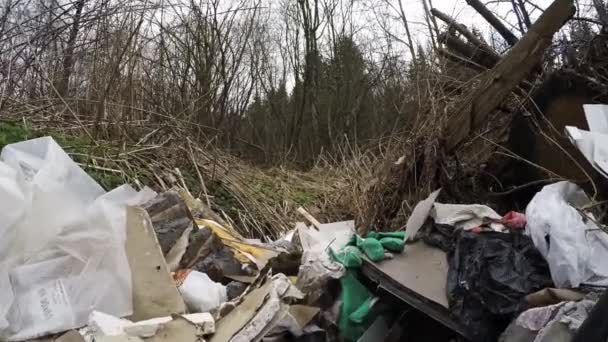 Müllkippe im Wald. Verschmutzung der Natur — Stockvideo