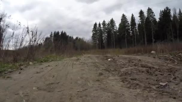 Muddy Forest Road. Camino sucio del bosque — Vídeo de stock