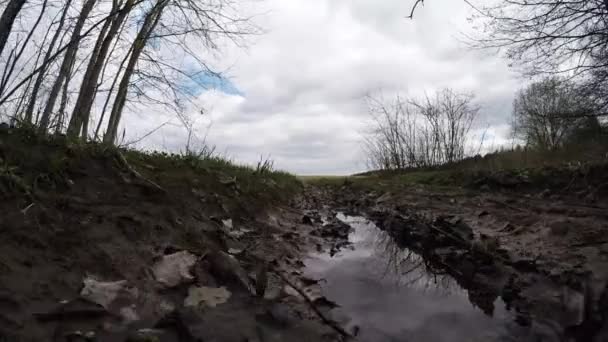 Muddy Forest Road. Camino sucio del bosque — Vídeo de stock