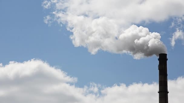 Emissões de substâncias nocivas para a atmosfera — Vídeo de Stock