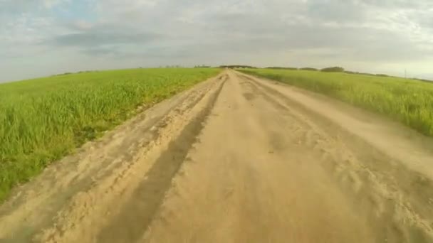 Die Straße ins Feld. der Weg des Lebens — Stockvideo