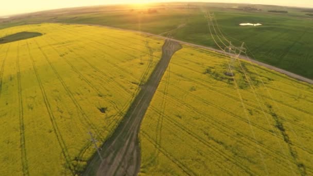 Лінії електропередач та сільськогосподарське поле. Захід сонця — стокове відео