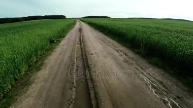 Yol alanına. Yolun yaşam