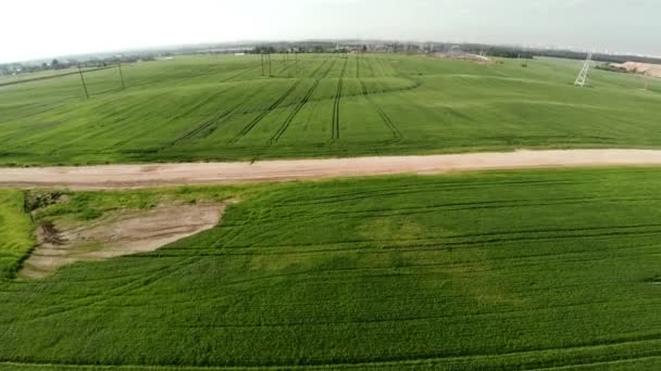 Líneas eléctricas y campo agrícola. Puesta de sol — Vídeos de Stock