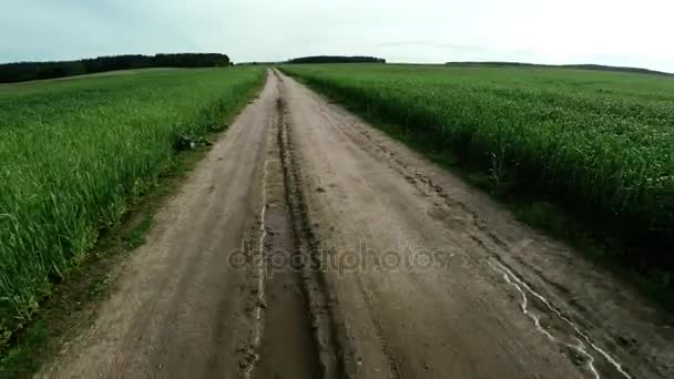 Die Straße ins Feld. der Weg des Lebens — Stockvideo